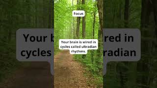 Sleep Hacks for Better Rest | Fix Insomnia Naturally-Daily Sleep Tips | Fall Asleep Faster