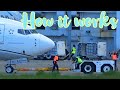 Waypoint Usain 🤔 Airplane Spotting Montego Bay Jamaica