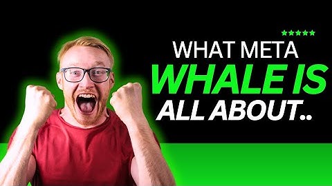 All You Need To Know About Meta Whale 🐳 ecosystem.