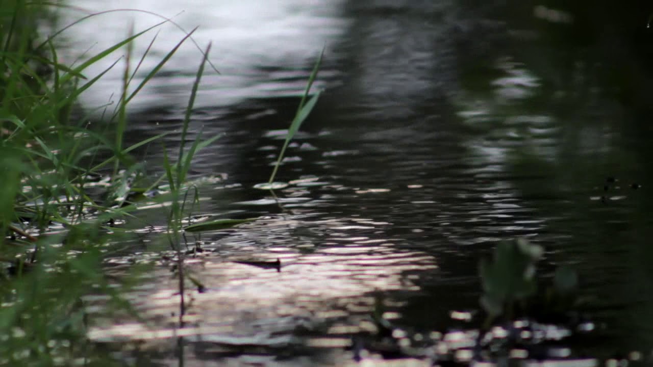 Afirmaciones positivas para atraer la salud - Meditación guiada ASMR-con sonidos de agua relajante