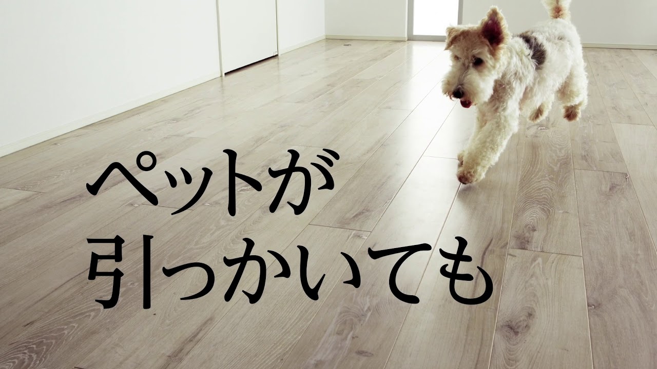 ラクするテクノロジー「アーキスペックフロアー」 オリンピック 開催地