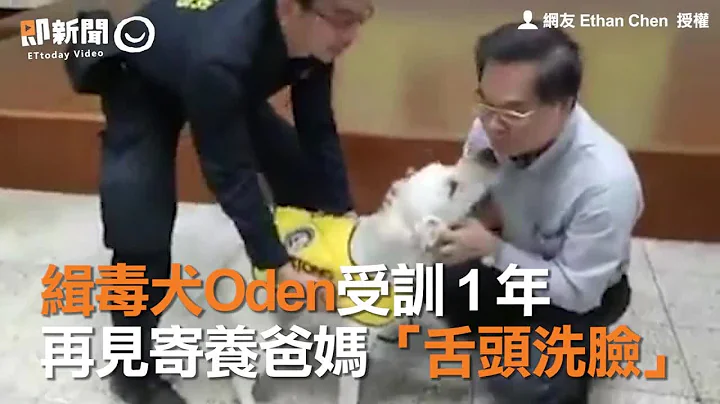缉毒犬Oden受训1年　再见寄养爸妈“舌头洗脸” - 天天要闻