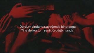 İnsan Mıyız - Ten Resimi