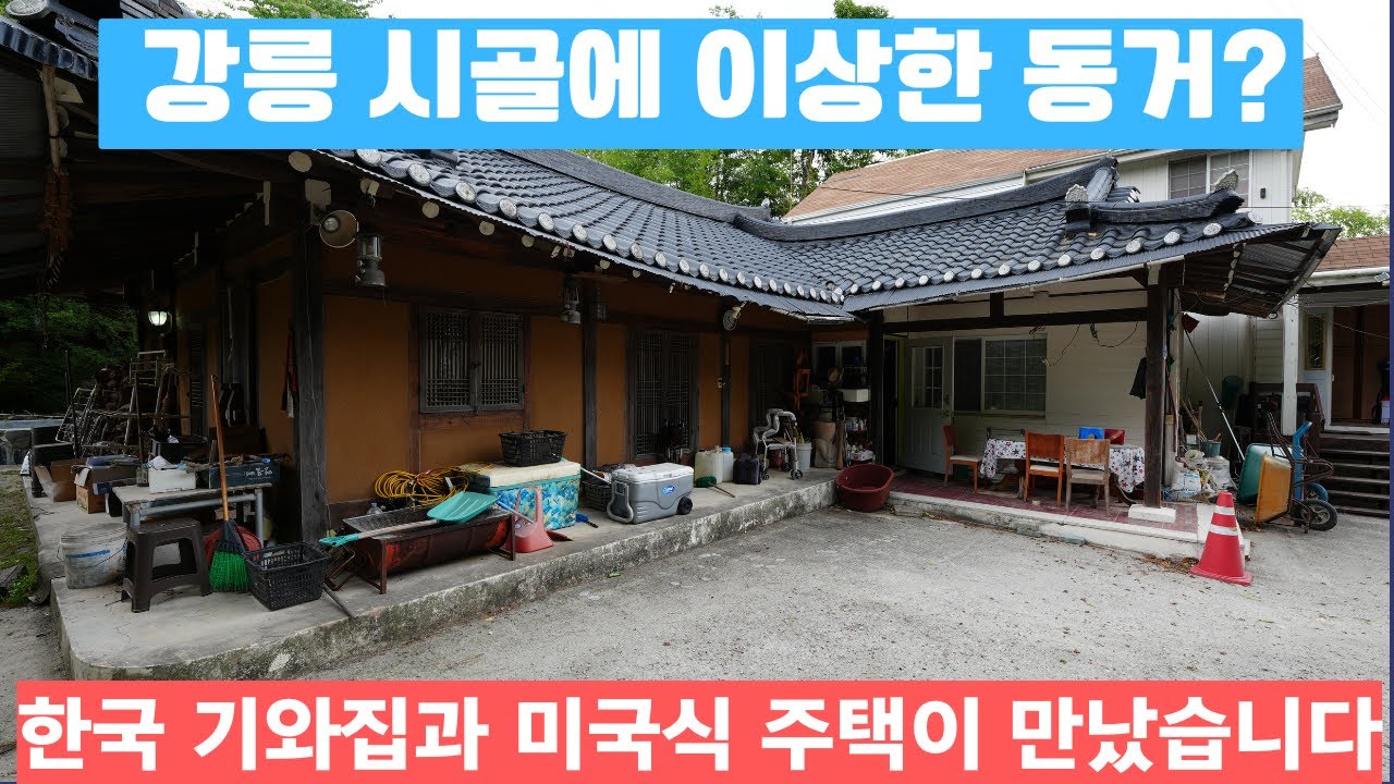 이 넓은 땅에....집이 하나둘....셋?   한국집....미국집....그냥 집 #강릉부동산 #강릉전원주택 #박소장