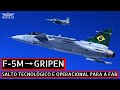 Do F-5M ao F-39 Gripen: Um grande salto operacional e tecnológico para a FAB