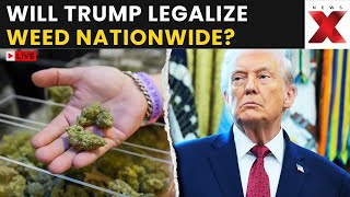 US Marijuana Reform LIVE: Trump Moves to Ease Rules, Boosting Industry Hopes Nationwide