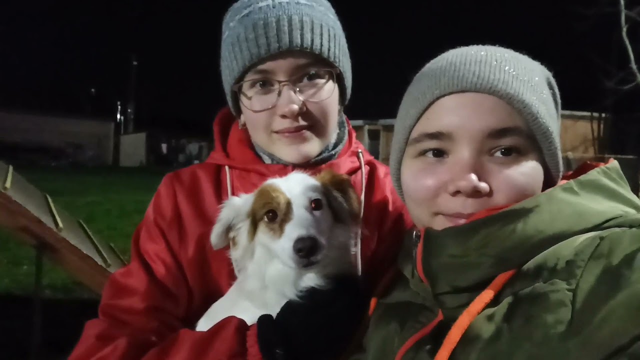 Один день из жизни кинолога. Практика кинологов.