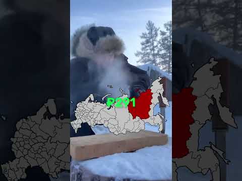 Видео: Где самая дешевая шаурма в России?