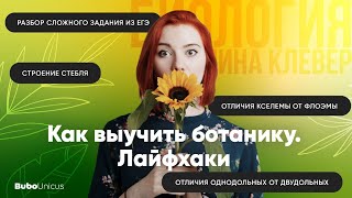 Как выучить ботанику. Лайфхаки. | БИОЛОГИЯ ЕГЭ | Лина Клевер