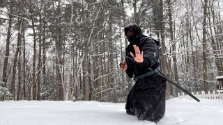 Ninjutsu Return To The Dojo