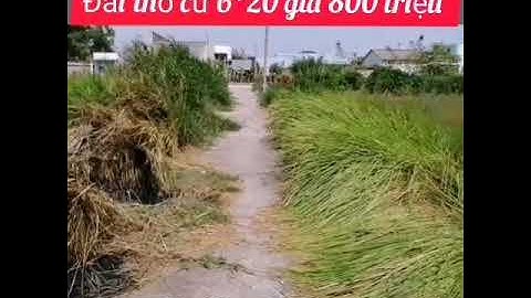 Bán đất thổ cư Xã Mỹ Lộc huyện Cần Giuộc tỉnh Long An