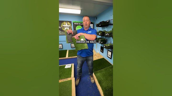 🐾 Pet Turf vs. Standard Turf: What You Need to Know!