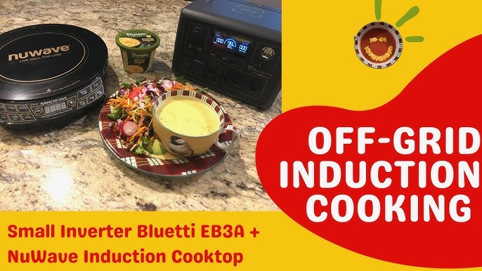 12v Induction Cooking - How much power do you need? 