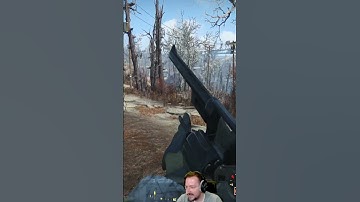 Another One Fallout Edition