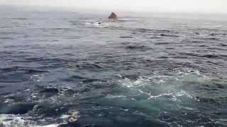 2015/8/1(土)鵜渡根群礁 ウノクソ：渡礁直後の下りの潮流