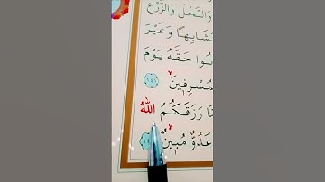 سورة الأنعام الأية 142 القارئ سعد الغامدي