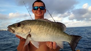 EPIC Shallow Water Snapper Fishing- Catch Clean Cook - Mangrove Snapper Fish Gyros