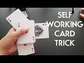 CRAZY SELF WORKING EASY CARD TRICK FOR BEGINNERS AND EXPERTS PigCake Tutorial