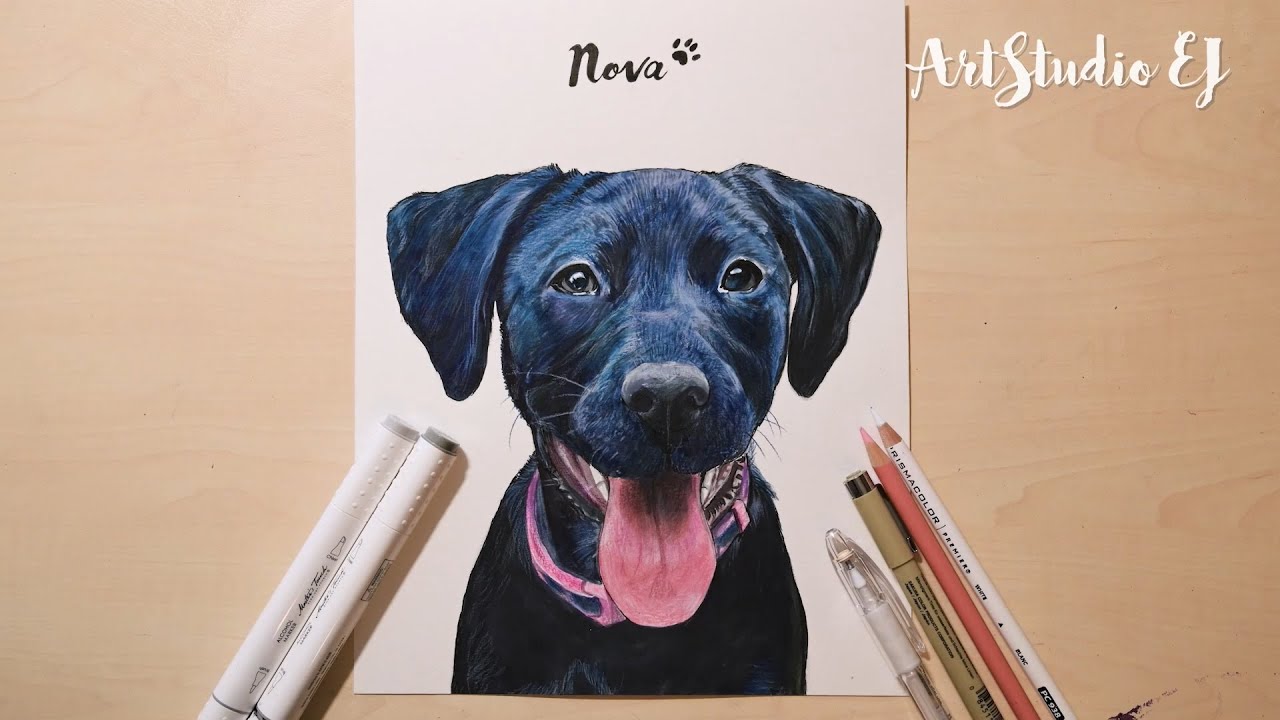 Pet Portrait | Marker Drawing of a Sweet Dog - Nova | Speed Draw