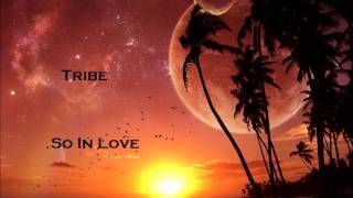 Watch Tribe So In Love video