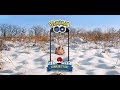 EM BUSCA DO SWINUB SHINY POKÉMON GO