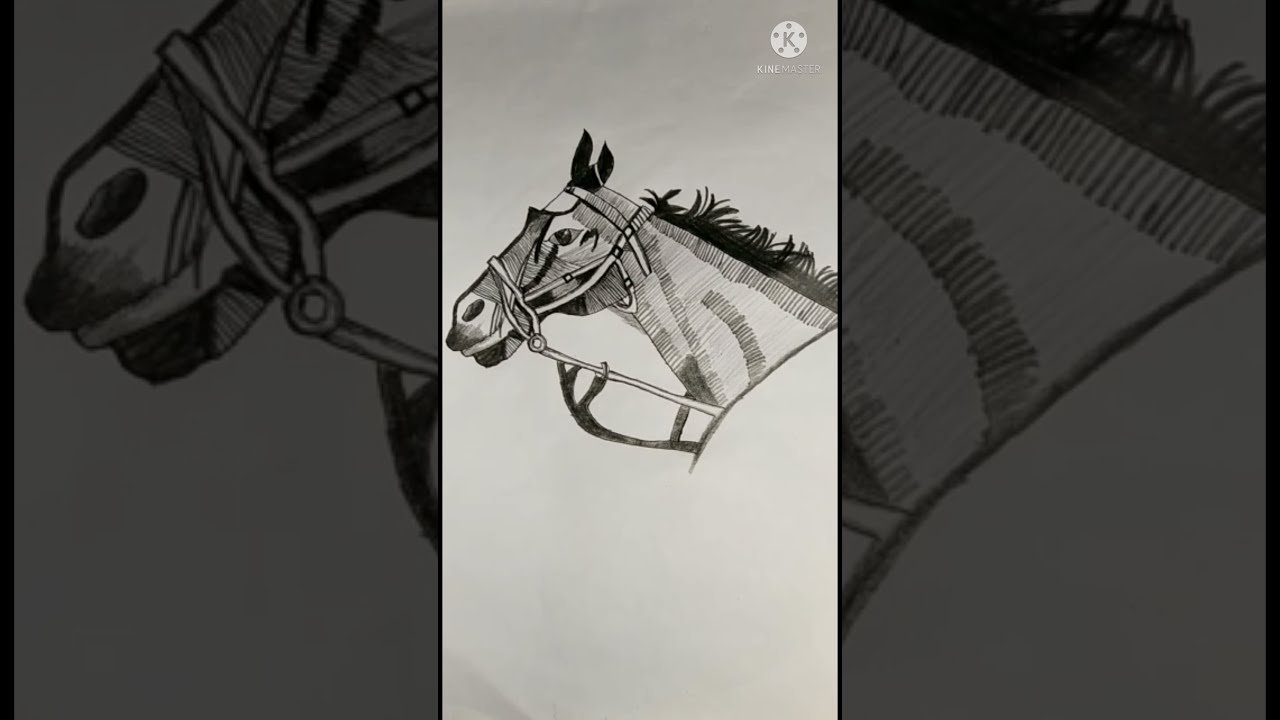 How To Draw Easy Horse 🐎 Face // How To Apply PEN On Horse// pencil sketch