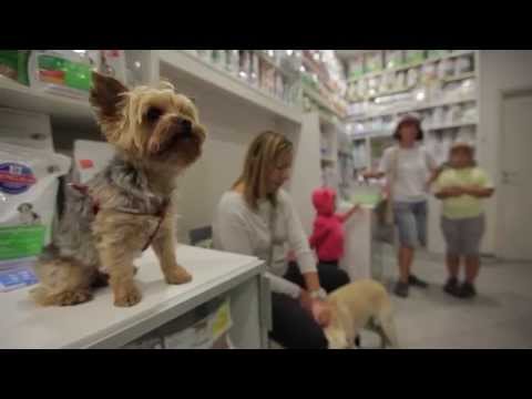 Video: Najboljših 5 Fotografij Bolnikov Z Veterinarsko Akupunkturo Dr. Mahaneyja Iz Leta