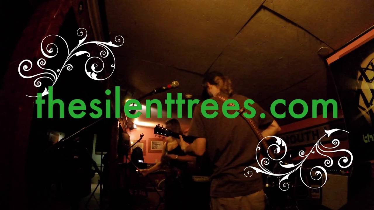 21 Questions - The Silent Trees Quartet