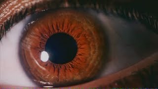 En un Millón de Años | Nat Geo