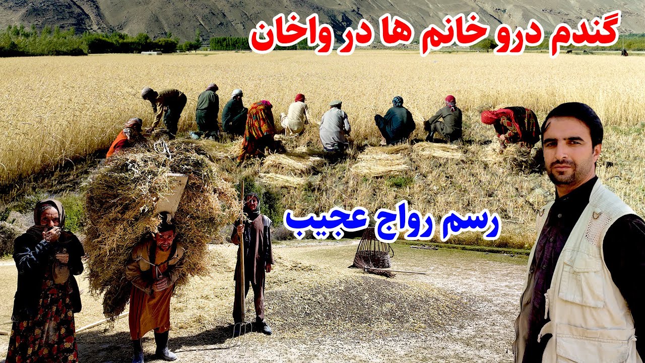 گندم درو خانم ها در واخان بدخشان، زندگی عجیب و متفاوت , قصه ها ی بدخشی Badakhshan Afghanistan
