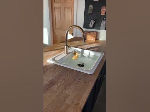 Bad day? Just watch this #shorts #ducklings #swimming #tiktok #trend ...