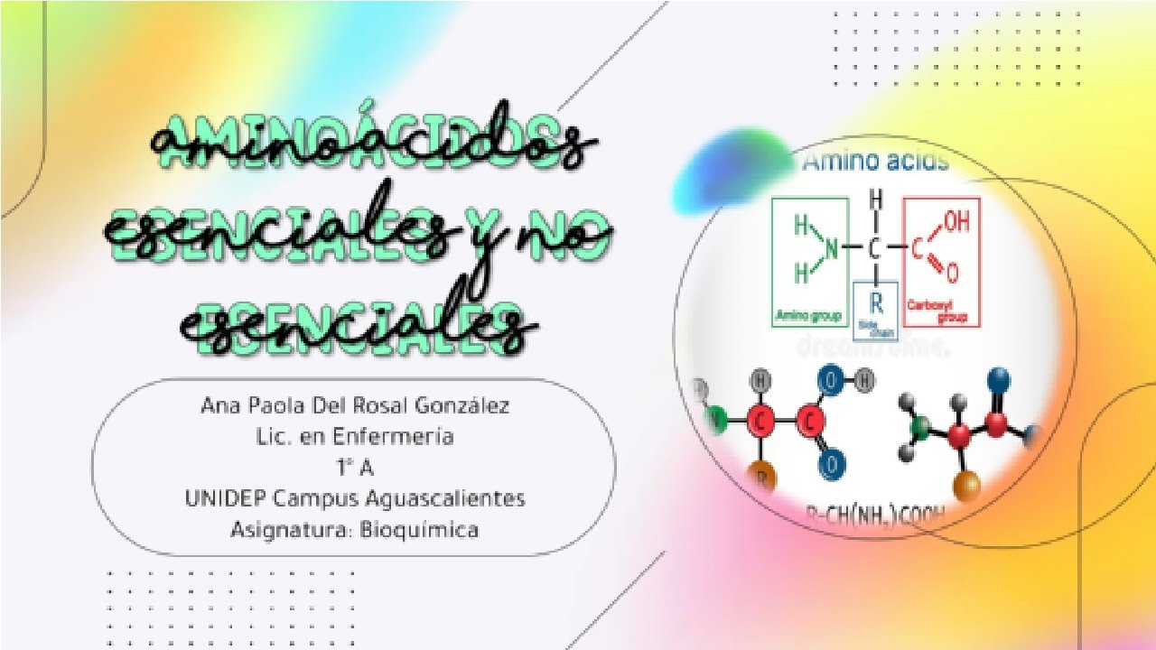 Aminoácidos esenciales y no esenciales-Bioquímica🧪🧬 - YouTube