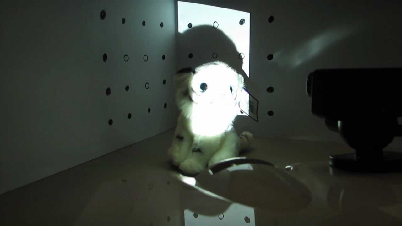 Industry of One - 3D Scanner Process and Experiment