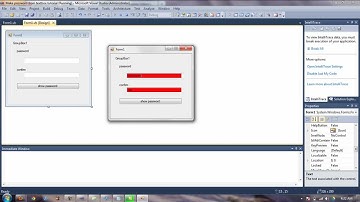 Advanced Password Field Tutorial - Visual Basic 2010