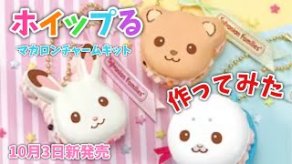 Sylvanian Exploration Team is live! - YouTube