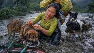 A Girl and Two Loyal Dogs Rescue an Abandoned Puppy in a Dangerous Storm
