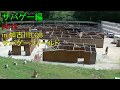 サバイバルゲーム part2　in加古川CQB
