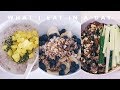 What I Eat in a Day | Cook with me!