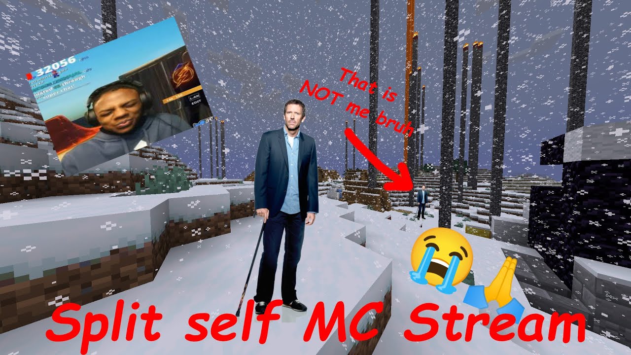 Split Self Minecraft Stream - YouTube