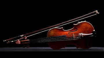 David Pino - String Quartet in C# Minor