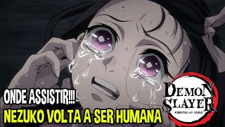 onde assistir o ultimo episodio de demon slayer que a nezuko vira  humana｜Pesquisa do TikTok