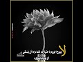 لا يبوح الورد بإحتياجه للماء إما أن يسقى أو يمووت بهدوء mp3