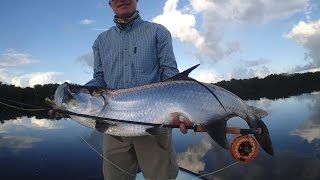 Fly Fishing Miami Tarpon, Redfish, Snook Everglades