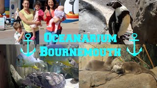 Oceanarium Bournemouth - Aquarium, Days Out With Kids Dorset