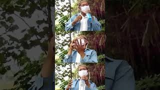 Ojo Dibandengke x Suket Teki ( Reggae Ska version )
