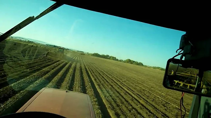 Rex Baum Farms Potato Harvest 09