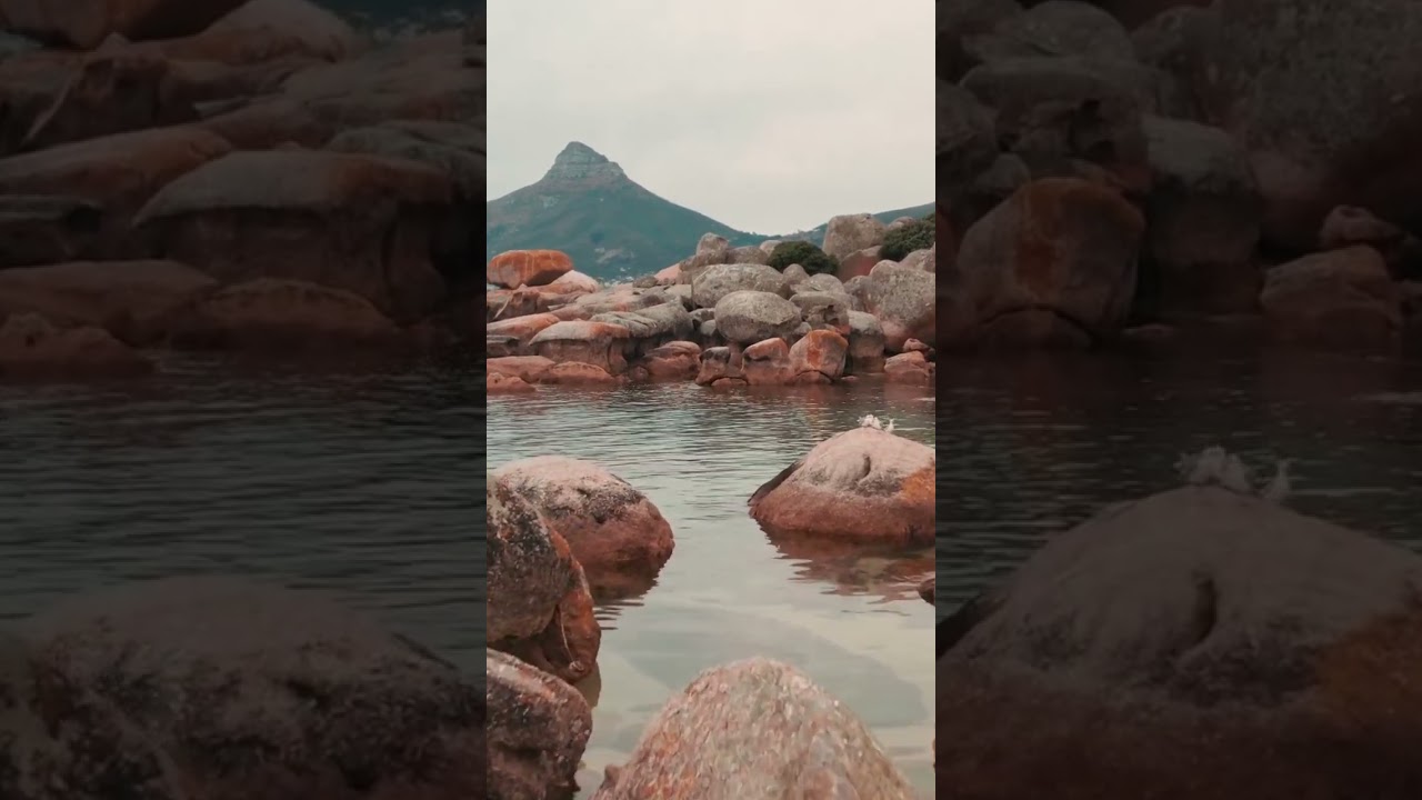 🫢Should I release this?  