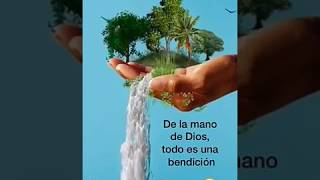 VID 20200526 WA00531
