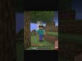 Minecraft Steve
