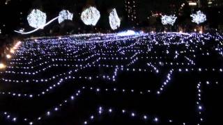 Tokyo Illumination